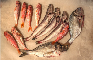 food loaded with zinc